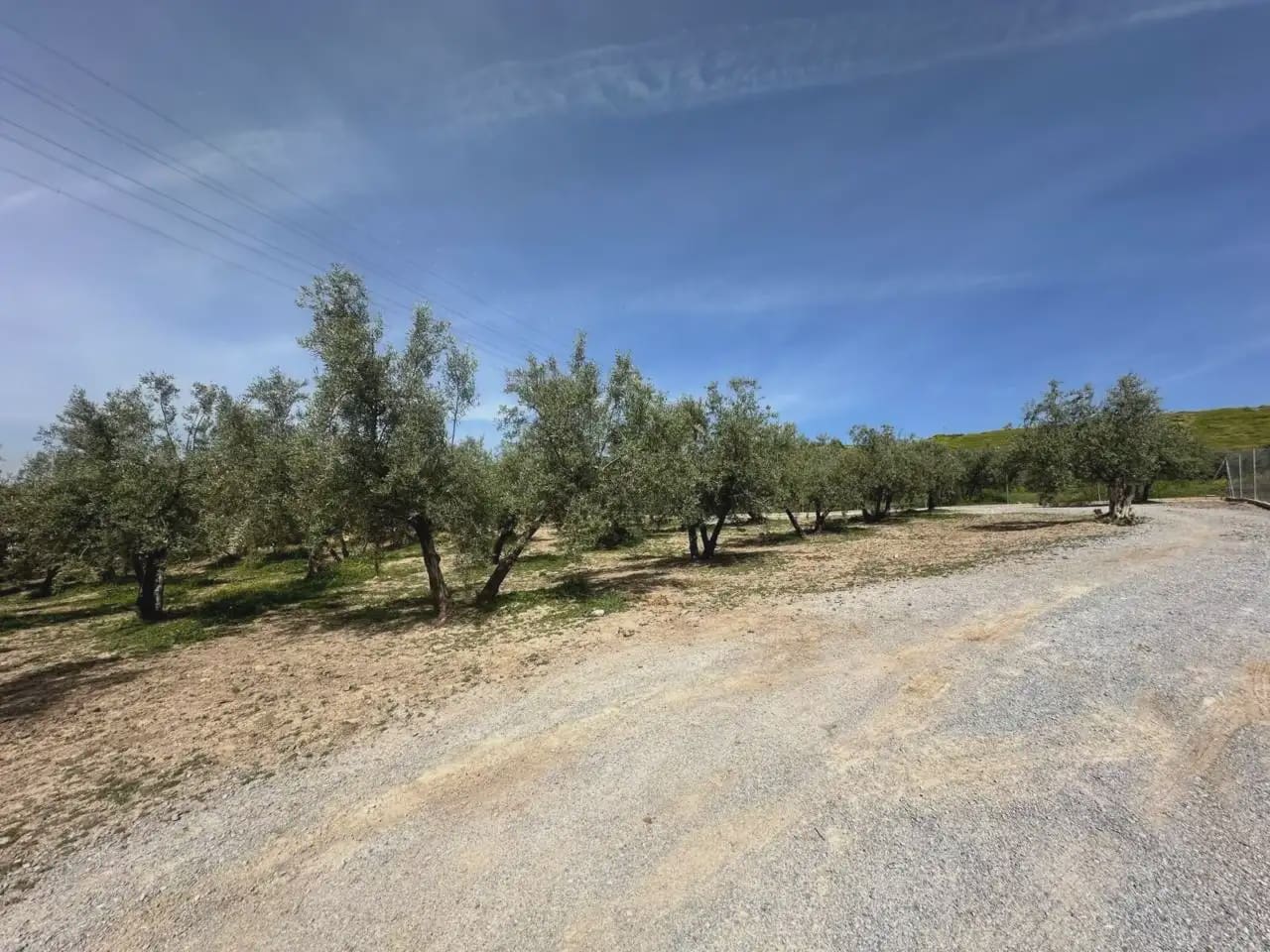 Terre non Aménagée à vendre à Alfacar - 89 900 € (Ref: 10165280)