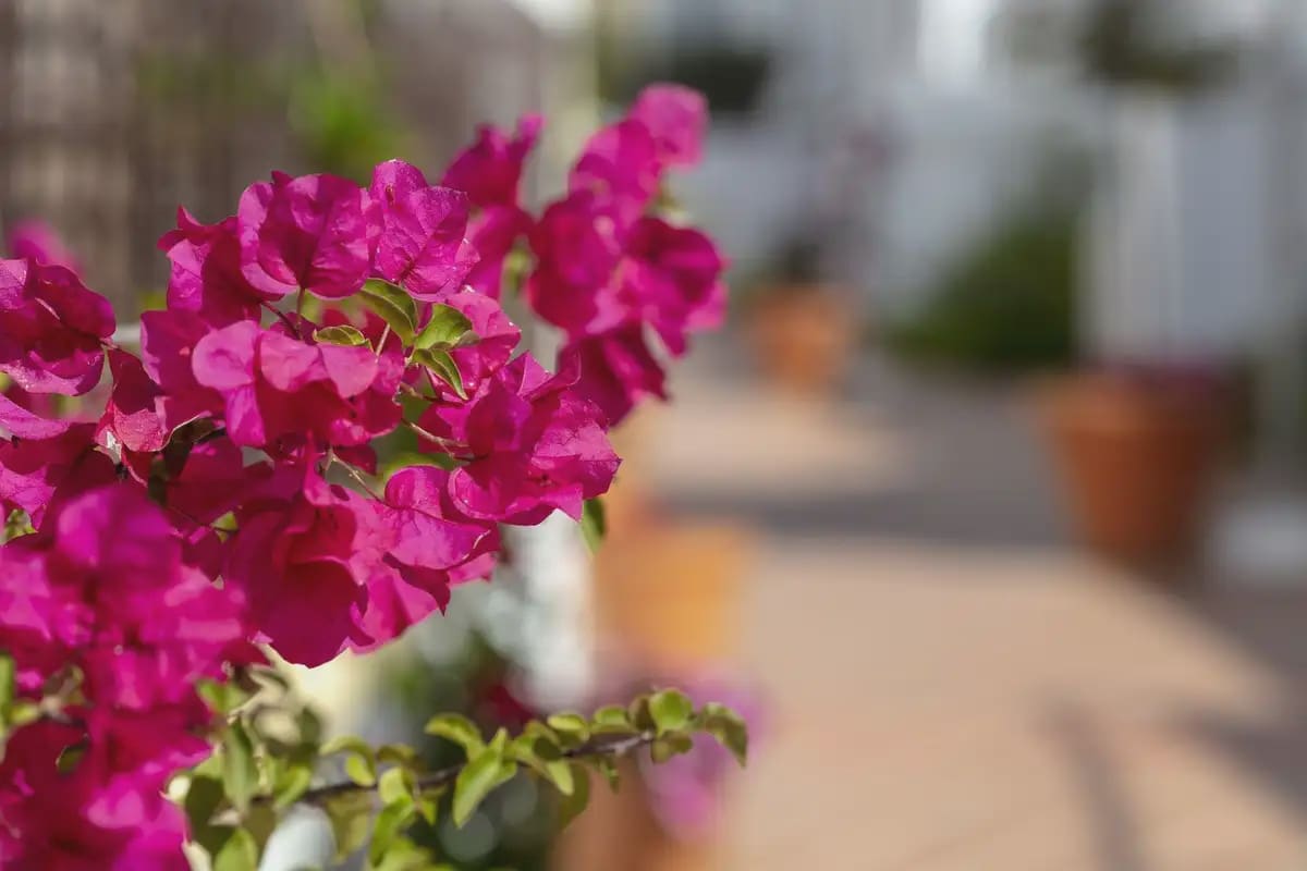 3 Zimmer Apartment zu verkaufen in Marbella mit Pool Garage - 685.000 € (Ref: 10170061)