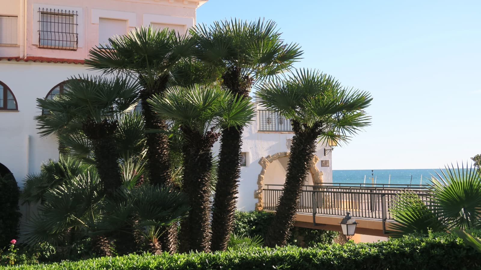 3 bedroom Townhouse for sale in Roda de Bara with pool garage - € 367,000 (Ref: 10166990)