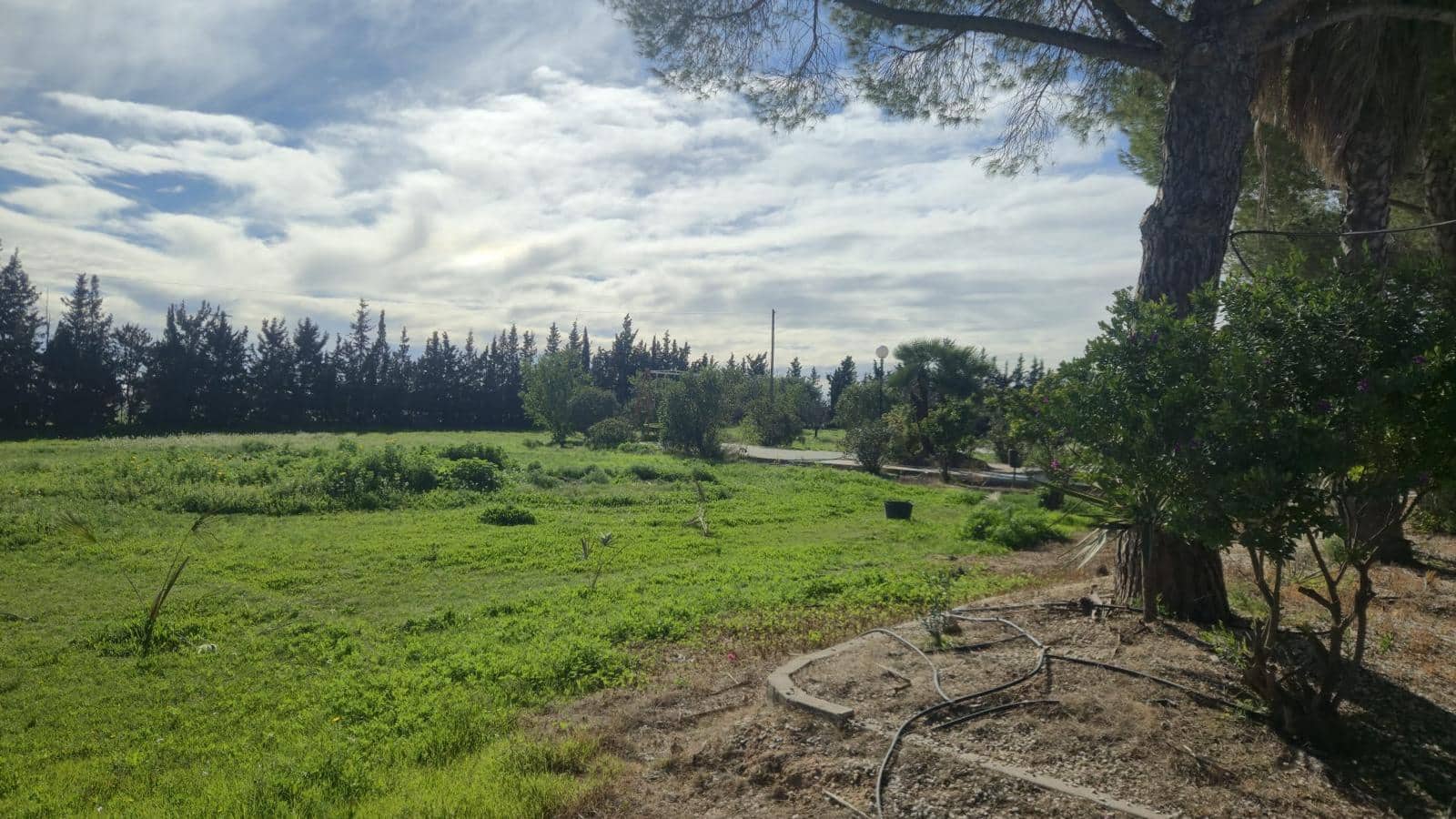 5 soverom Finca/Herregård til salgs i Torre-Pacheco med svømmebasseng garasje - € 550 000 (Ref: 10179468)