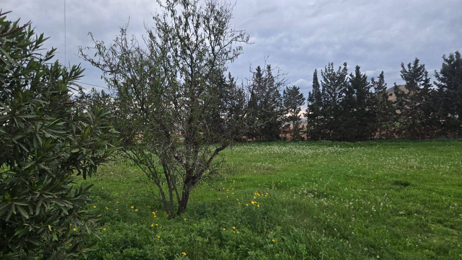 5 soverom Finca/Herregård til salgs i Torre-Pacheco med svømmebasseng garasje - € 550 000 (Ref: 10179468)