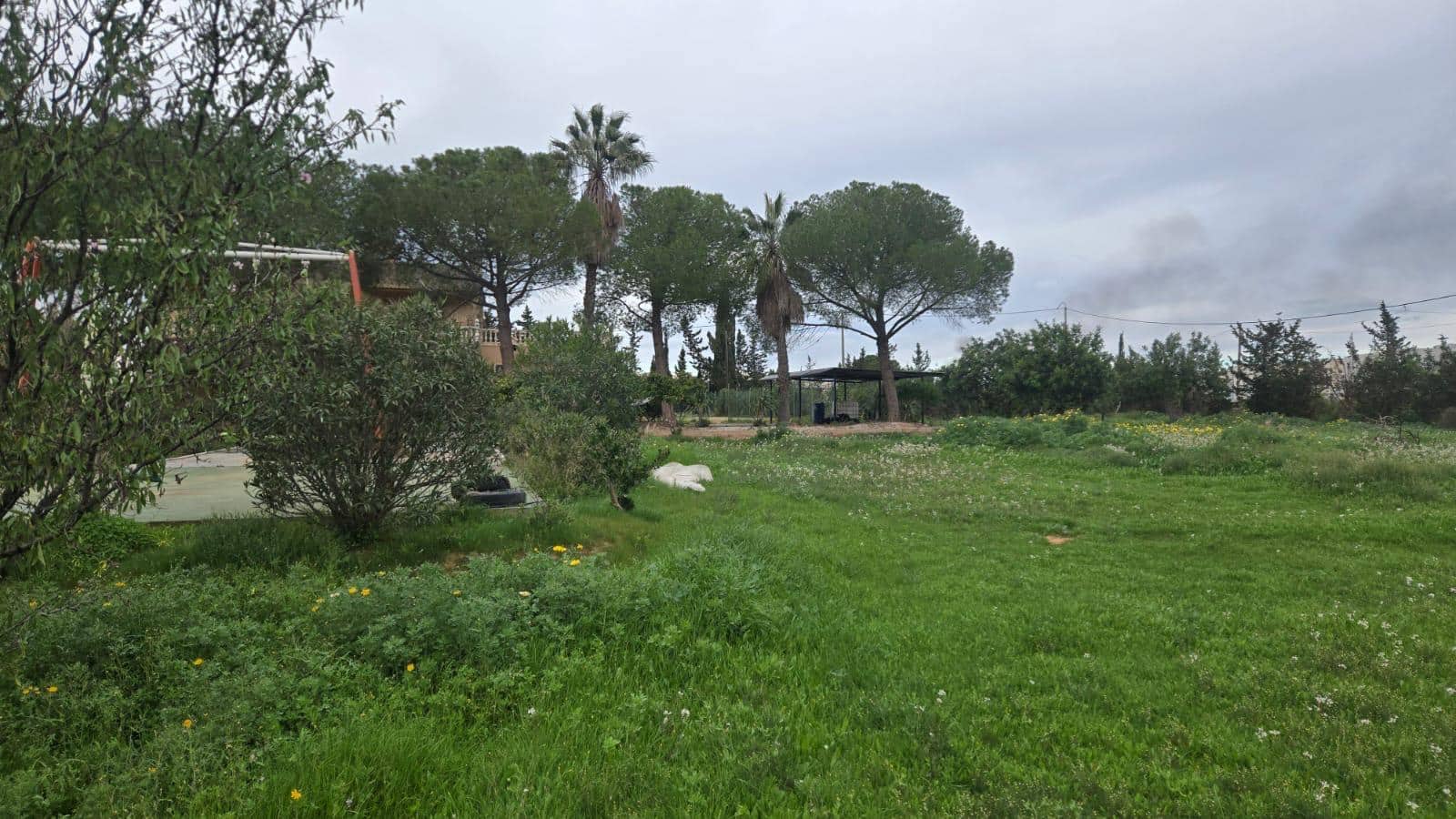 5 soverom Finca/Herregård til salgs i Torre-Pacheco med svømmebasseng garasje - € 550 000 (Ref: 10179468)