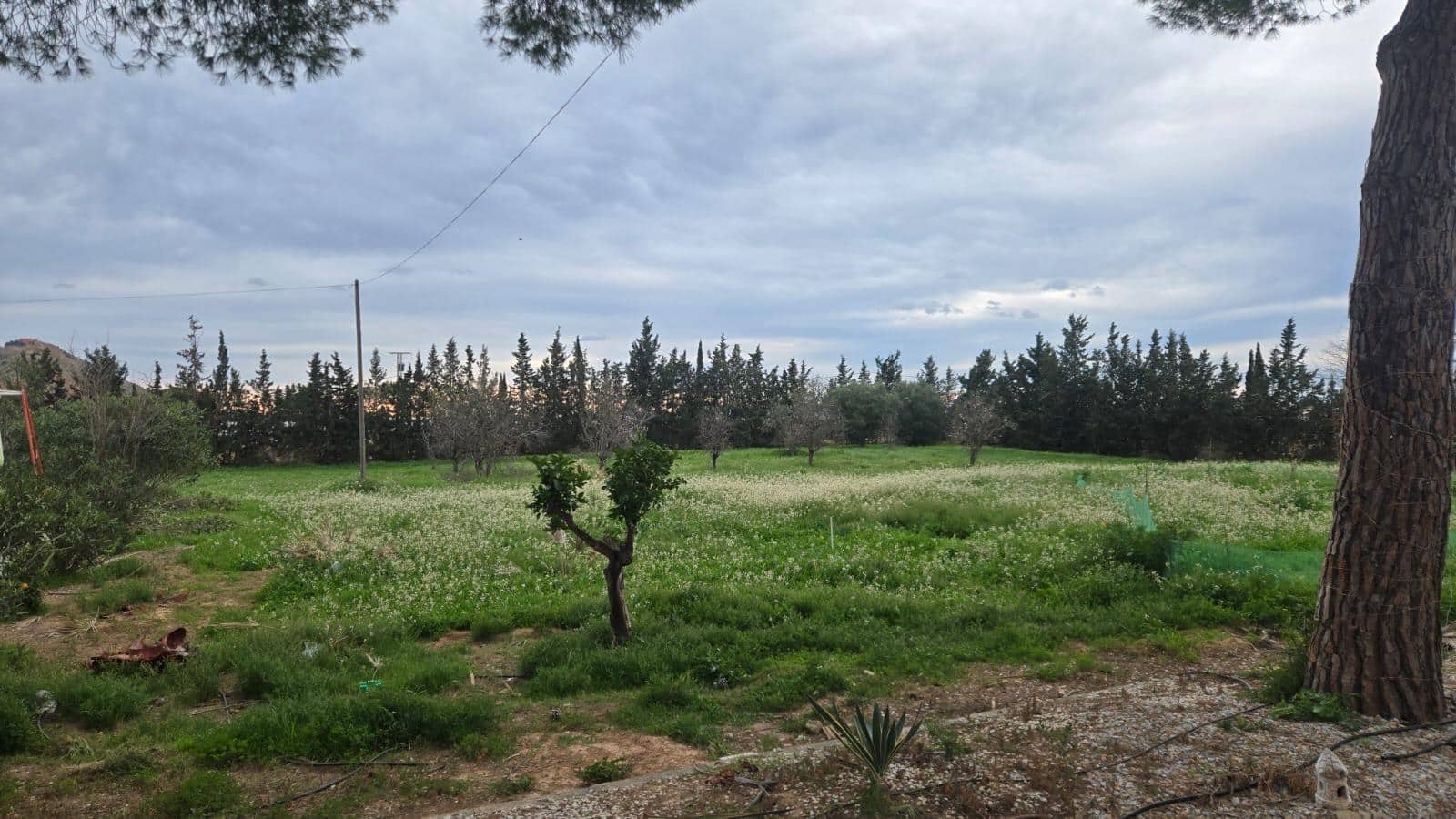 5 soverom Finca/Herregård til salgs i Torre-Pacheco med svømmebasseng garasje - € 550 000 (Ref: 10179468)