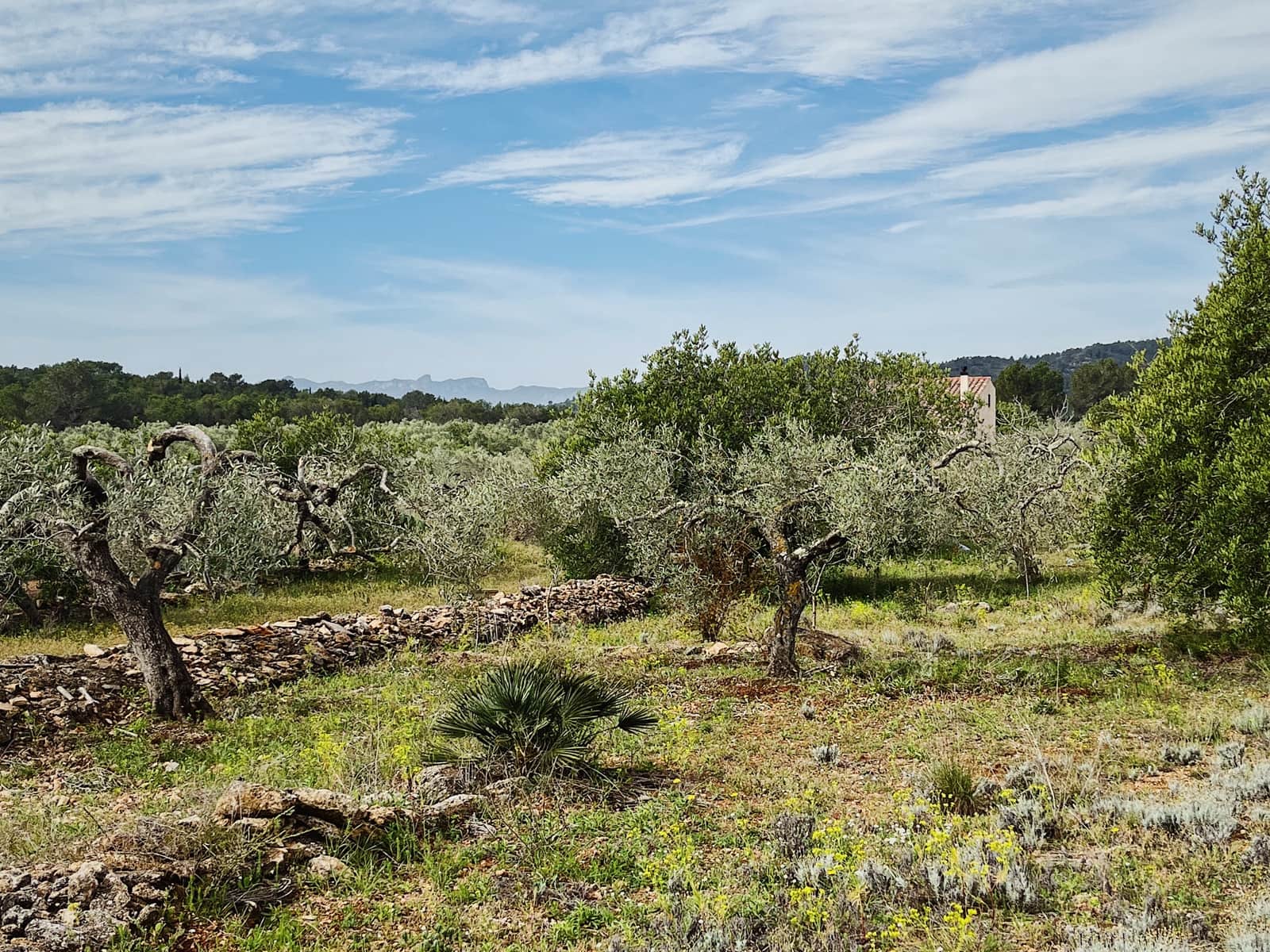 5 sypialnia Finka/Dom wiejski na sprzedaż w L'Ametlla de Mar z garażem - 460 000 € (Ref: 10184088)