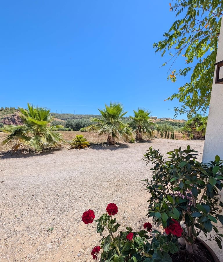 3 Zimmer Finca/Landgut zu verkaufen in Garcia - 289.000 € (Ref: 10183616)