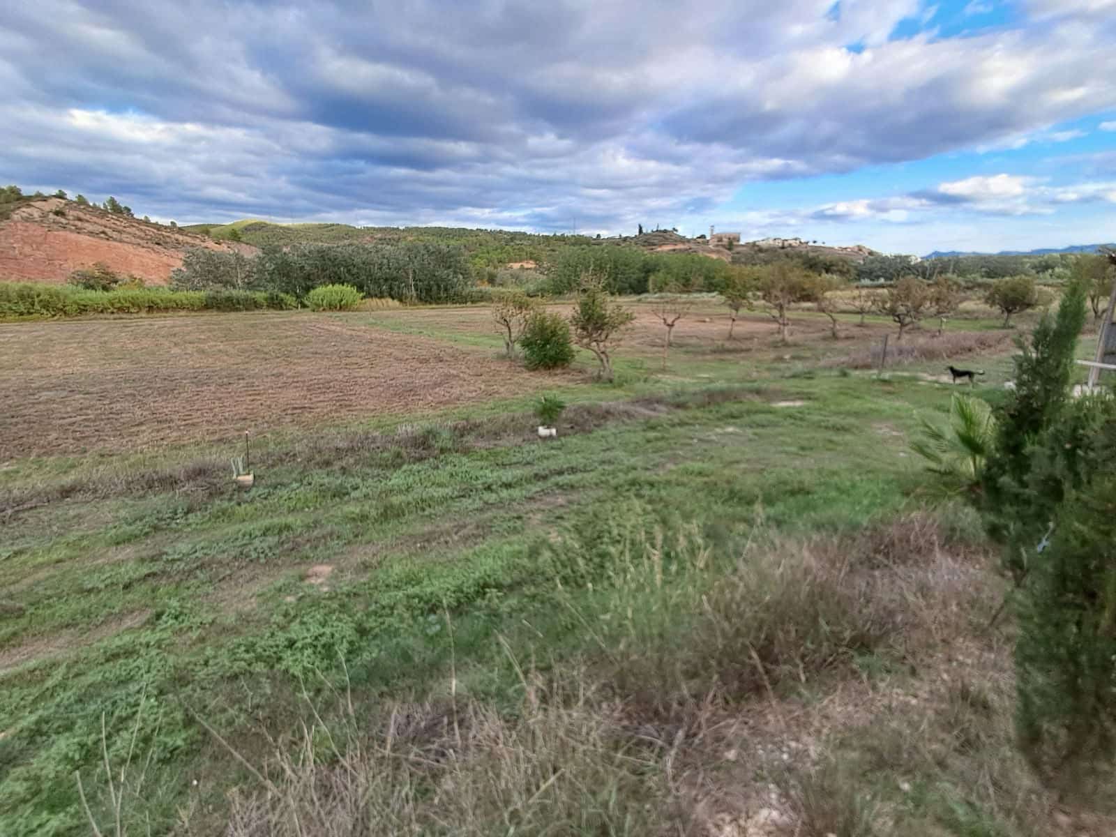 3 Zimmer Finca/Landgut zu verkaufen in Garcia - 289.000 € (Ref: 10183616)