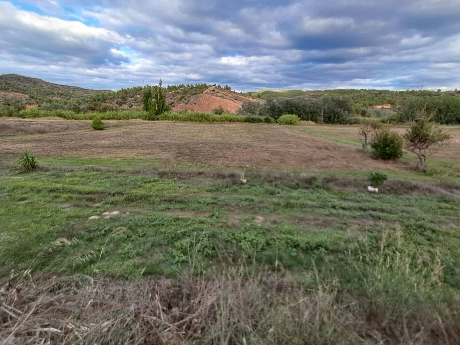 3 Zimmer Finca/Landgut zu verkaufen in Garcia - 289.000 € (Ref: 10183616)