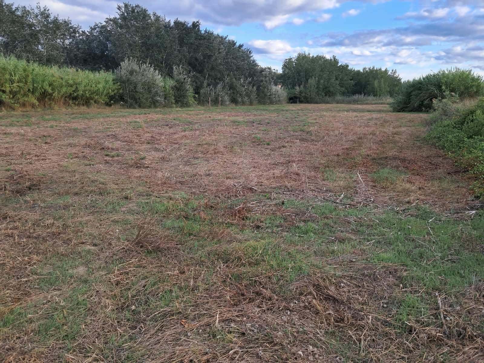 3 Zimmer Finca/Landgut zu verkaufen in Garcia - 289.000 € (Ref: 10183616)