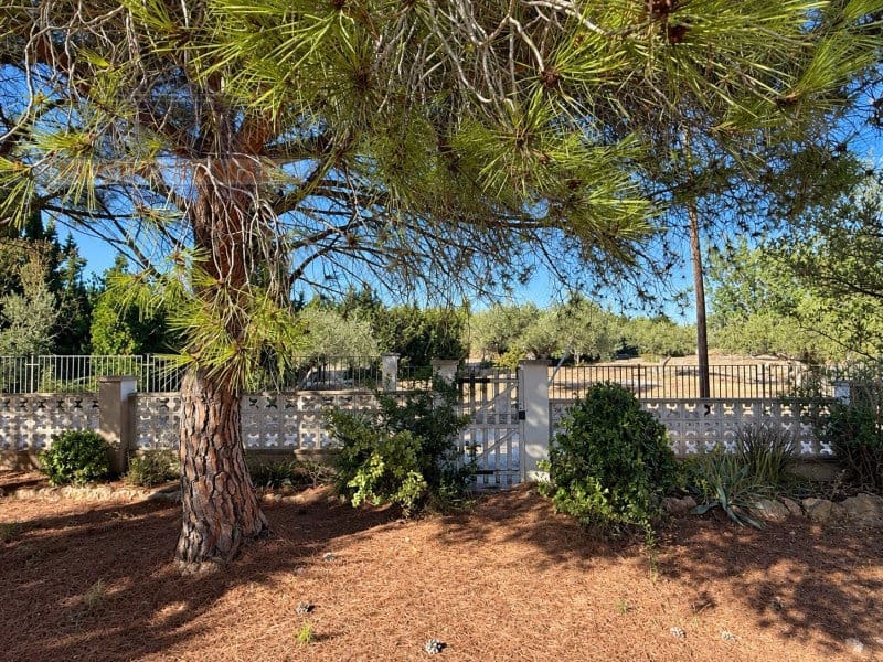 3 Zimmer Finca/Landgut zu verkaufen in L'Ampolla mit Garage - 250.000 € (Ref: 10183117)