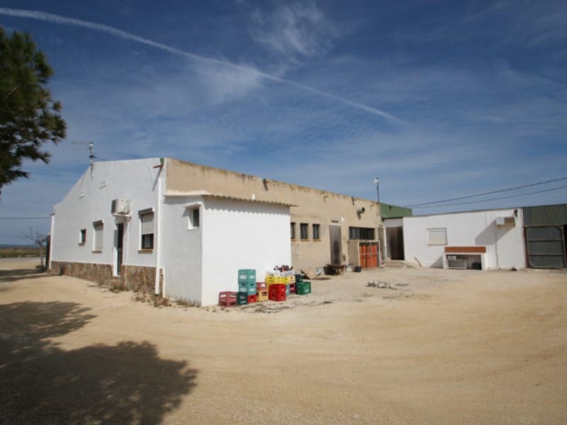 Kommersiell til salgs i Deltebre - € 300 000 (Ref: 8567380)