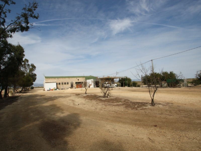 Kommersiell til salgs i Deltebre - € 300 000 (Ref: 8567380)