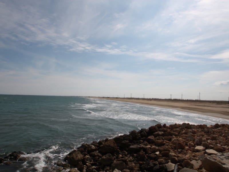 Kommersiell til salgs i Deltebre - € 300 000 (Ref: 8567380)