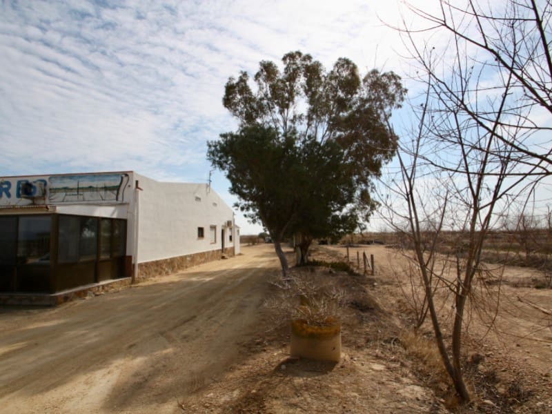 Kommersiell til salgs i Deltebre - € 300 000 (Ref: 8567380)