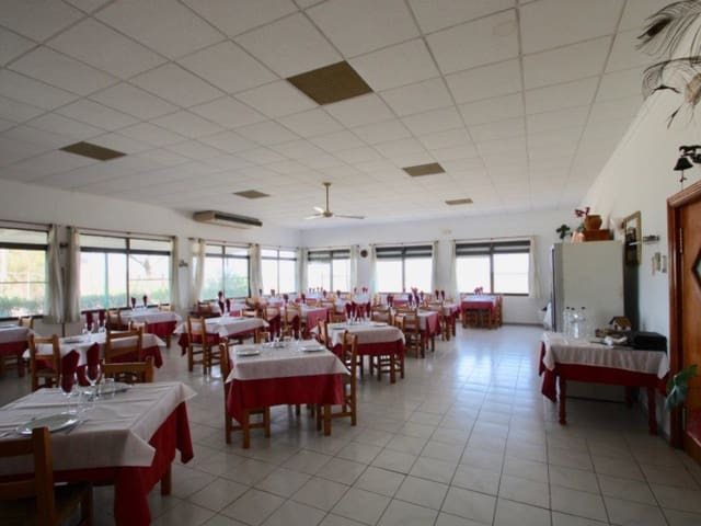 Commerciale in vendita in Deltebre - 300.000 € (Rif: 8567380)