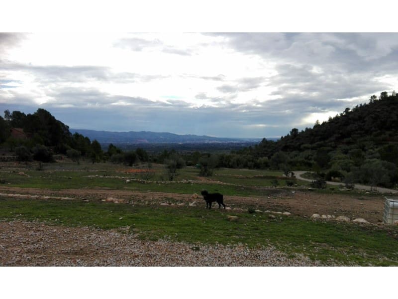 Træhus til salg i Alfara de Carles - € 179.000 (Ref: 8567381)