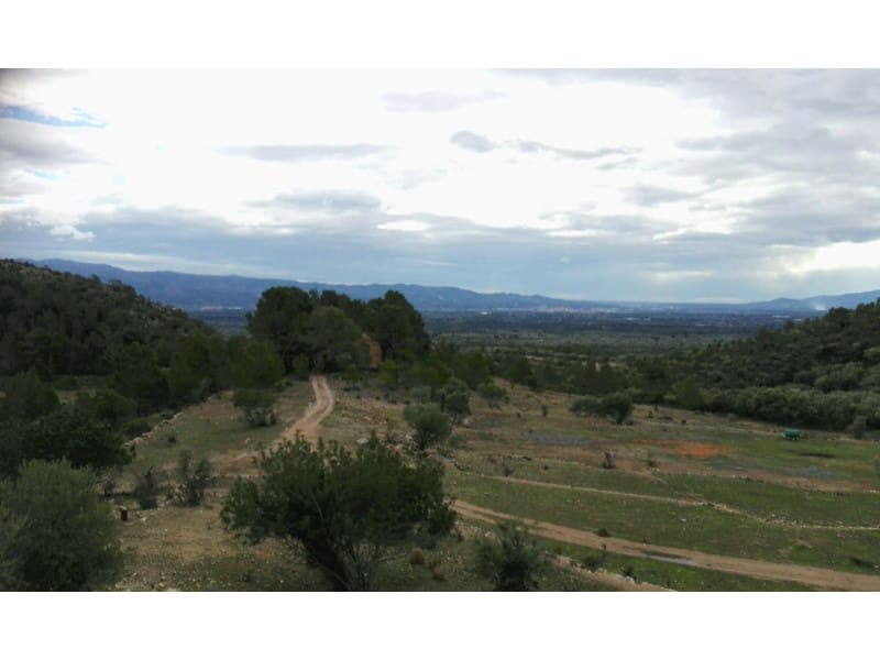 Træhus til salg i Alfara de Carles - € 179.000 (Ref: 8567381)