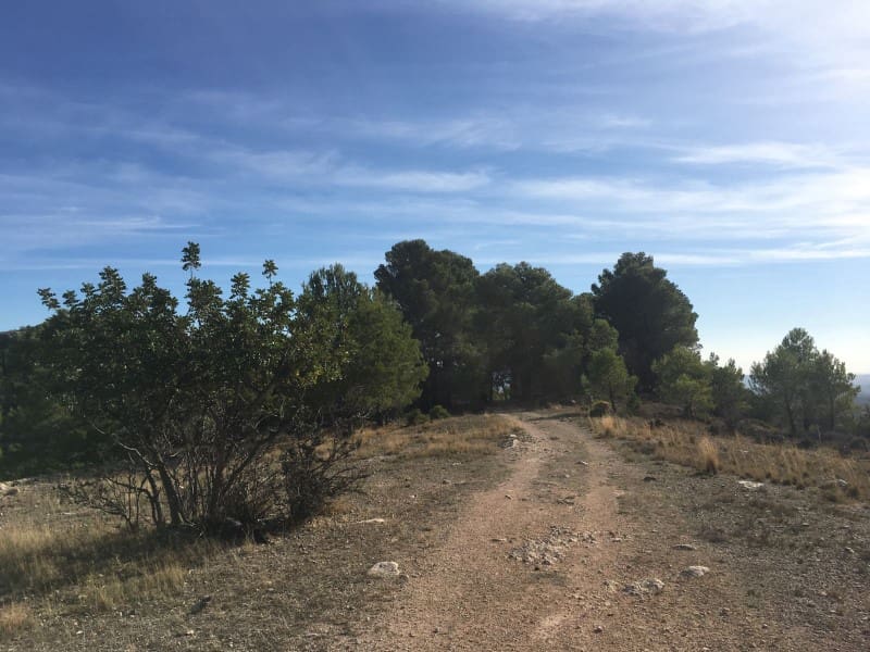 Træhus til salg i Alfara de Carles - € 179.000 (Ref: 8567381)