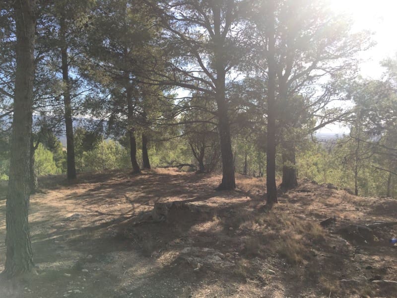 Træhus til salg i Alfara de Carles - € 179.000 (Ref: 8567381)