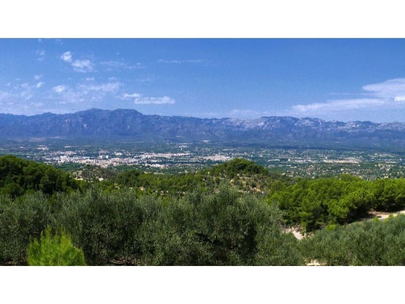 Træhus til salg i Alfara de Carles - € 179.000 (Ref: 8567381)