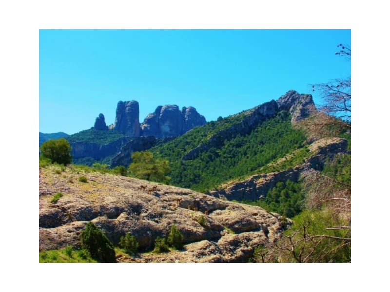 Træhus til salg i Alfara de Carles - € 179.000 (Ref: 8567381)