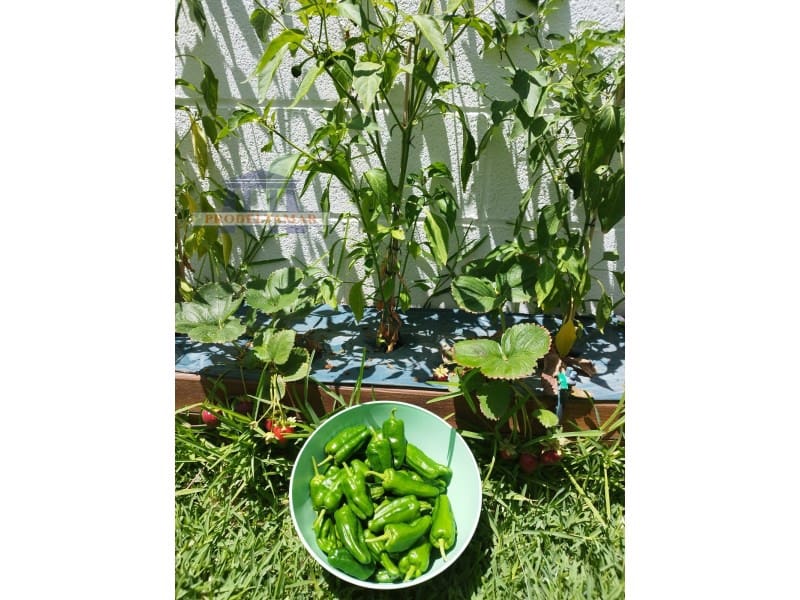 3 soveværelse Villa til salg i Deltebre - € 242.000 (Ref: 8567393)