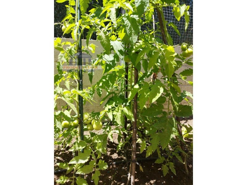 3 soveværelse Villa til salg i Deltebre - € 242.000 (Ref: 8567393)