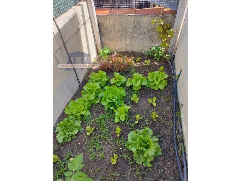 3 soveværelse Villa til salg i Deltebre - € 242.000 (Ref: 8567393)