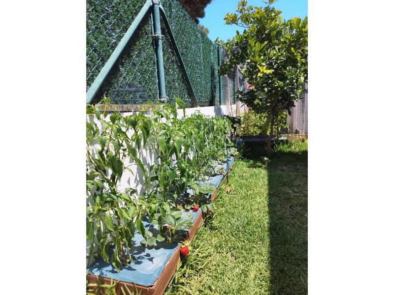 3 soveværelse Villa til salg i Deltebre - € 242.000 (Ref: 8567393)