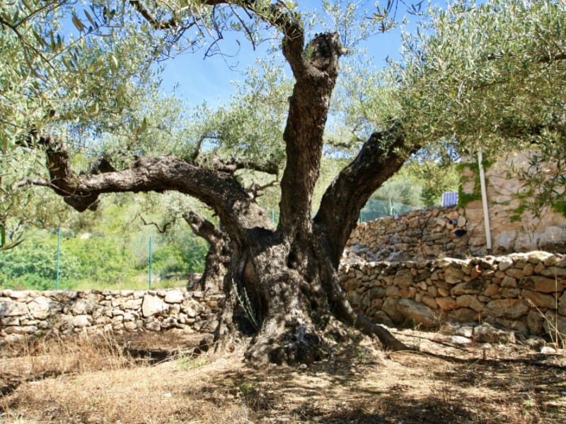 2 camera da letto Finca/Casa di Campagna in vendita in Amposta - 380.000 € (Rif: 8659129)