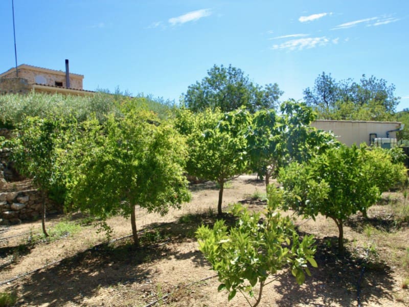 2 camera da letto Finca/Casa di Campagna in vendita in Amposta - 380.000 € (Rif: 8659129)