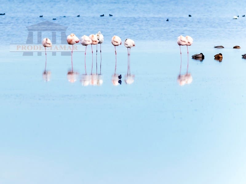 3 soveværelse Lejlighed til salg i L'Ampolla - € 165.000 (Ref: 8894629)