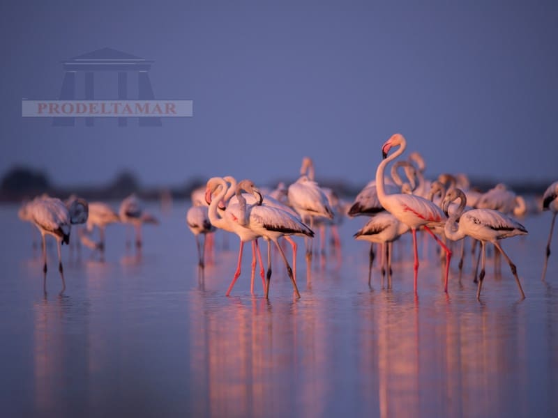 3 soveværelse Lejlighed til salg i L'Ampolla - € 165.000 (Ref: 8894629)