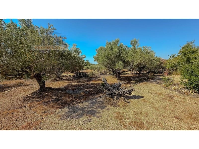 3 soveværelse Finca/Landehus til salg i Camarles - € 189.000 (Ref: 9106430)