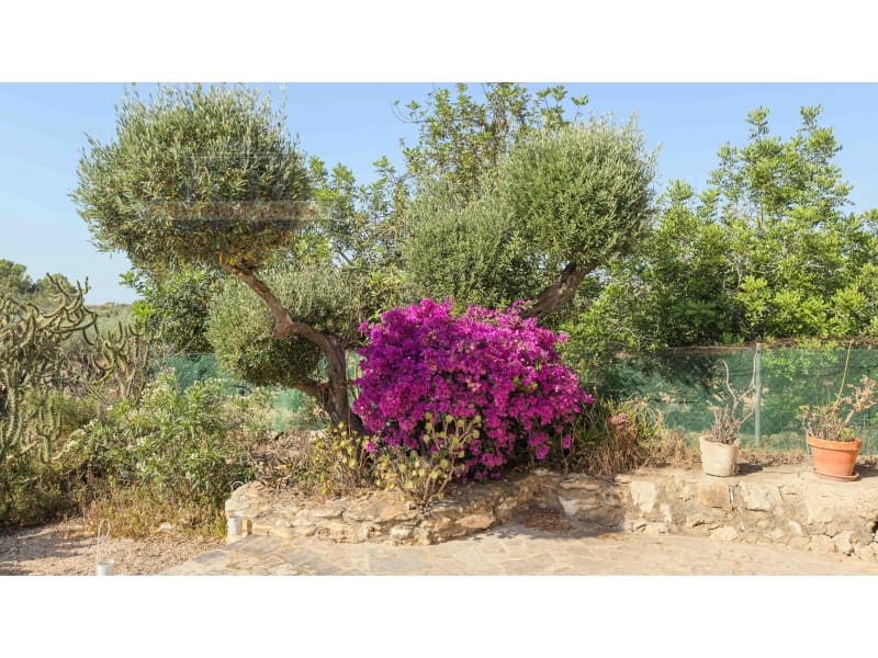 3 soveværelse Finca/Landehus til salg i Camarles - € 189.000 (Ref: 9106430)