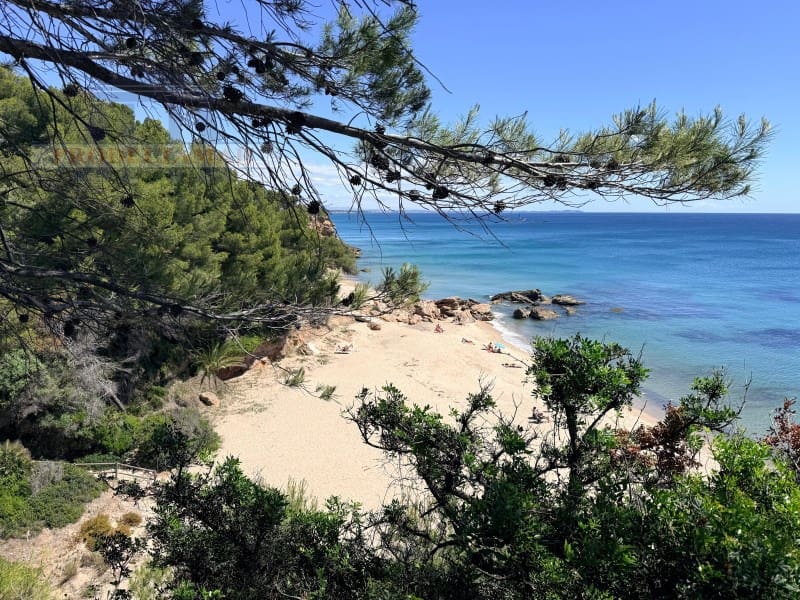 Studio for sale in Miami Playa / Miami Platja - € 127,000 (Ref: 9824765)
