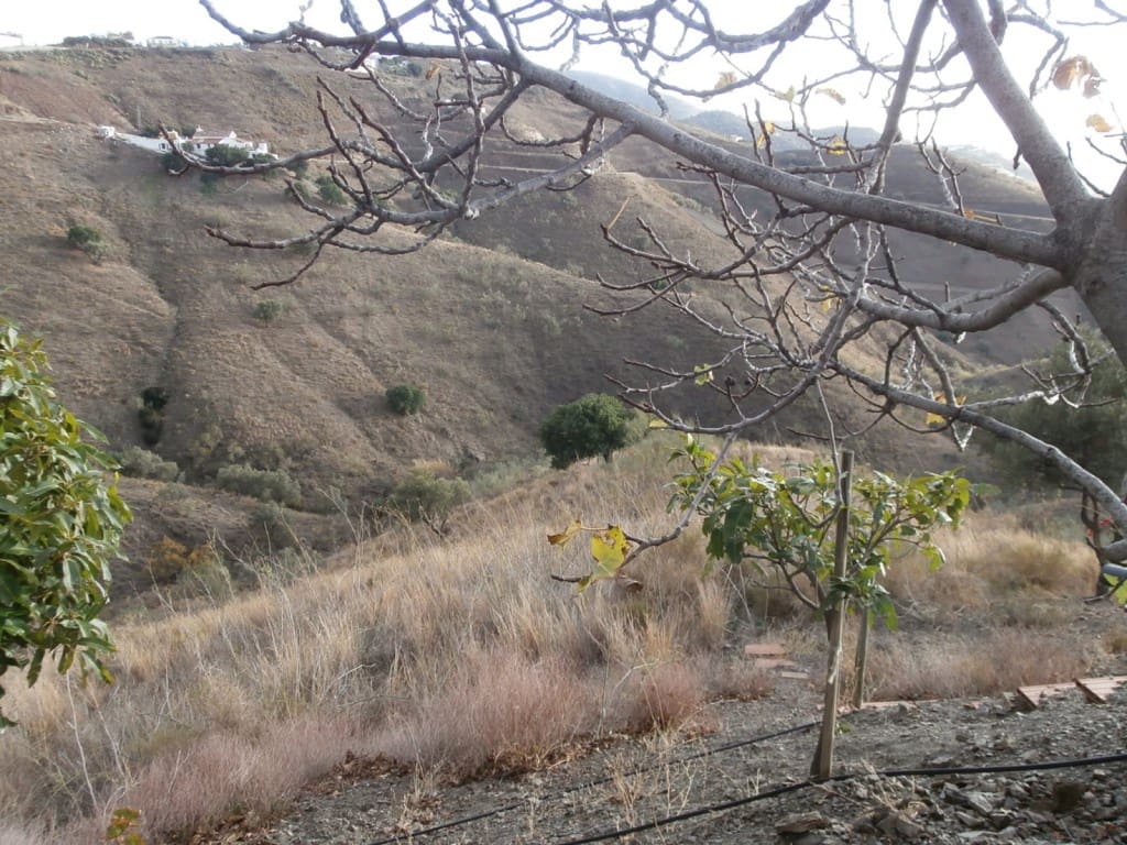 Grunde uden byggetilladelser til salg i Canillas de Aceituno - € 470.000 (Ref: 1968294)