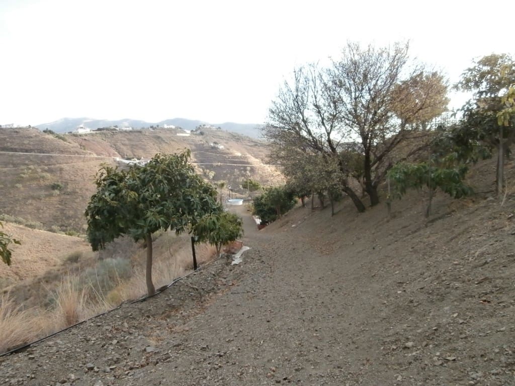 Grunde uden byggetilladelser til salg i Canillas de Aceituno - € 470.000 (Ref: 1968294)