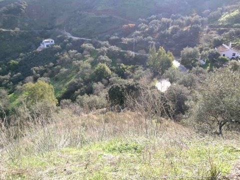 Teren niezagospodarowany na sprzedaż w Comares - 15 000 € (Ref: 1968339)