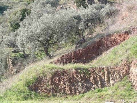 Teren niezagospodarowany na sprzedaż w Comares - 15 000 € (Ref: 1968339)