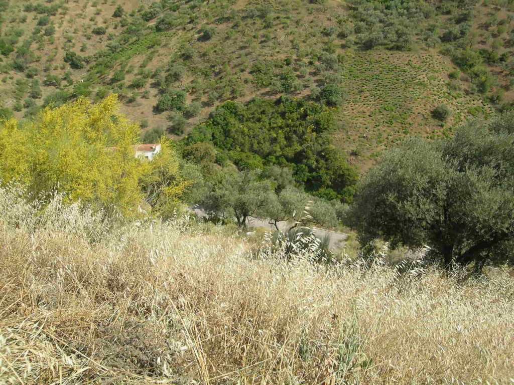 Grunde uden byggetilladelser til salg i Comares - € 25.000 (Ref: 1968384)