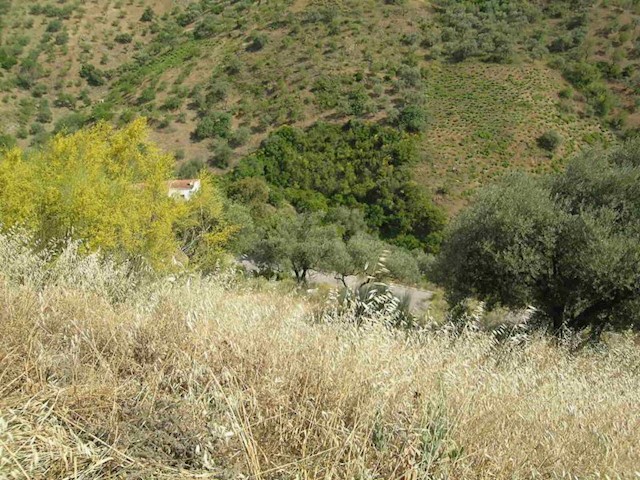 Grunde uden byggetilladelser til salg i Comares - € 25.000 (Ref: 1968384)