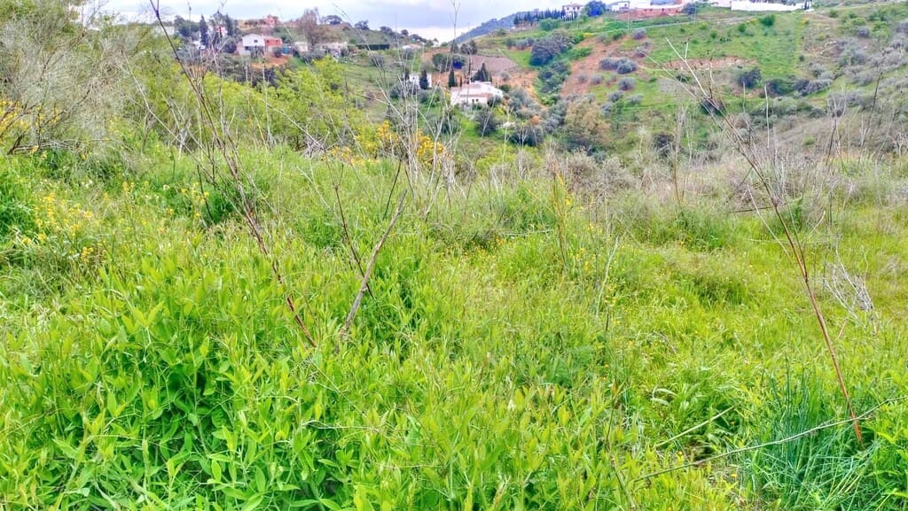 Grunde uden byggetilladelser til salg i Comares - € 25.000 (Ref: 1968384)