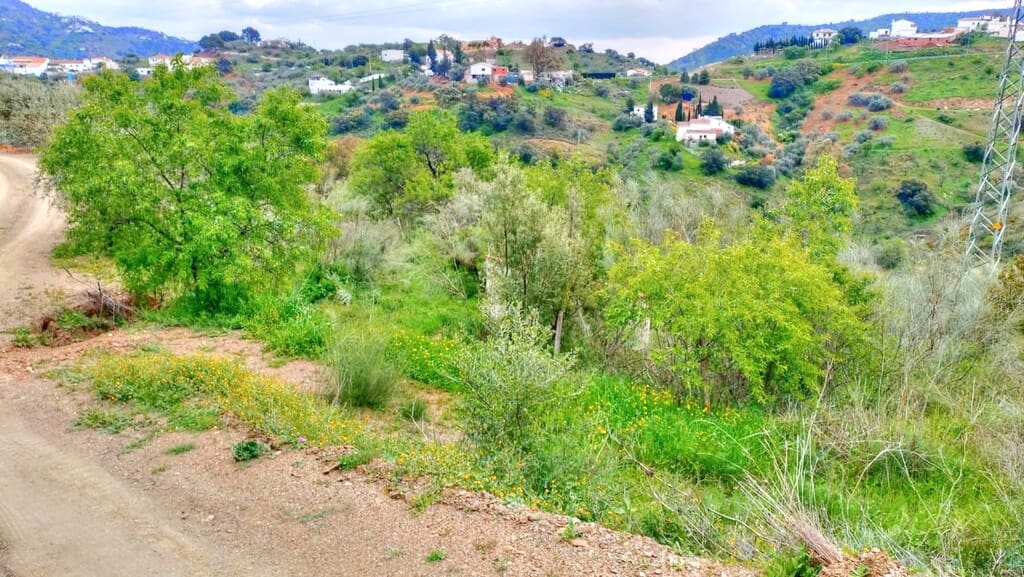 Grunde uden byggetilladelser til salg i Comares - € 25.000 (Ref: 1968384)