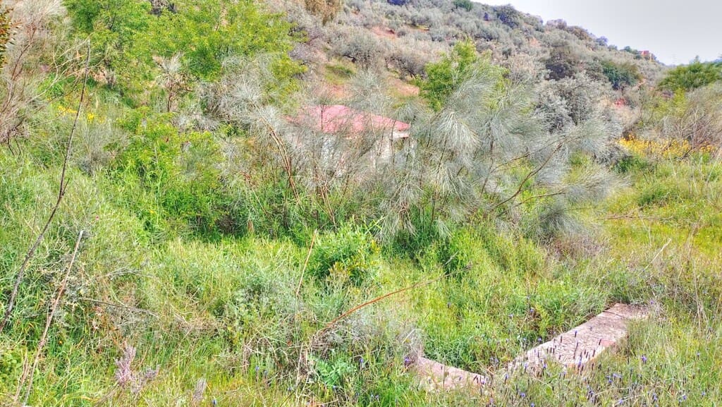 Grunde uden byggetilladelser til salg i Comares - € 25.000 (Ref: 1968384)