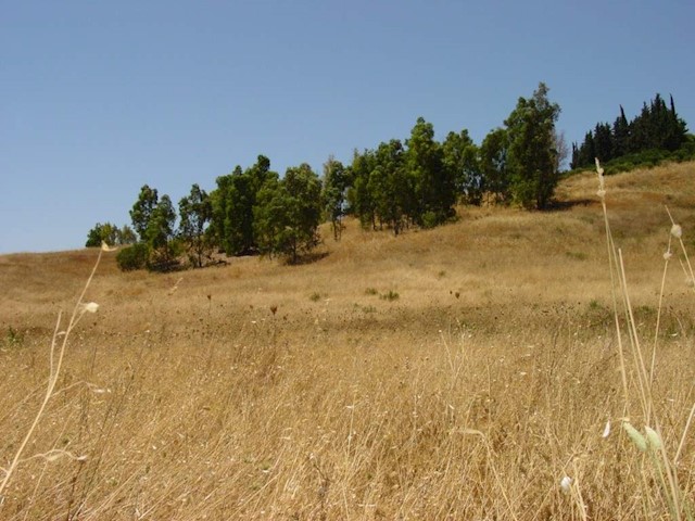 Mark till salu i Pizarra - 850 000 € (Ref: 2777030)