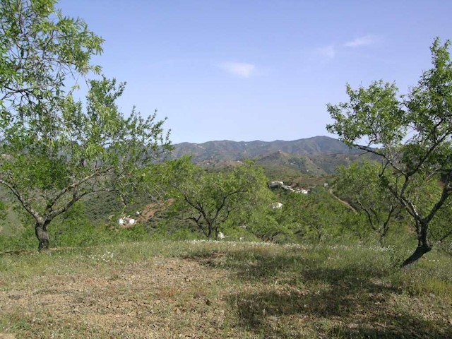 4 quarto Quinta/Casa Rural para venda em Colmenar com garagem - 510 000 € (Ref: 2777036)