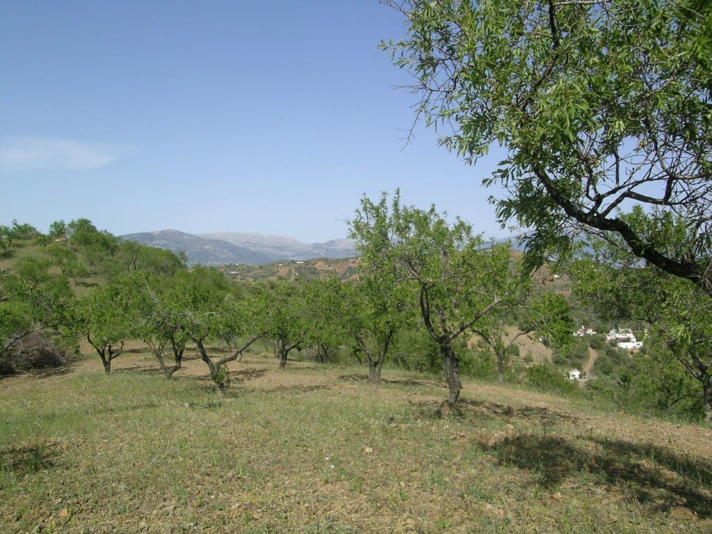 4 quarto Quinta/Casa Rural para venda em Colmenar com garagem - 510 000 € (Ref: 2777036)