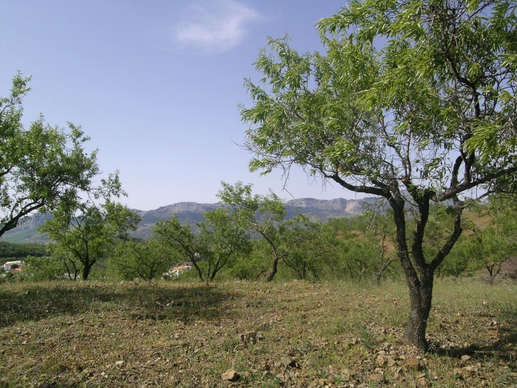 4 quarto Quinta/Casa Rural para venda em Colmenar com garagem - 510 000 € (Ref: 2777036)