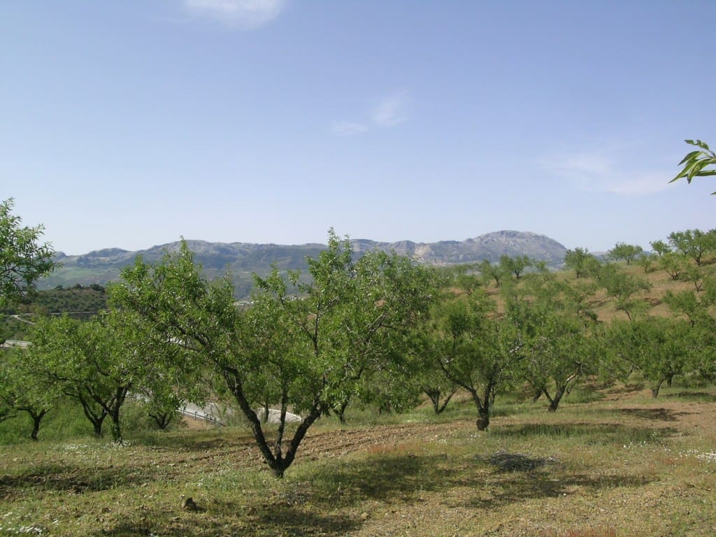 4 quarto Quinta/Casa Rural para venda em Colmenar com garagem - 510 000 € (Ref: 2777036)