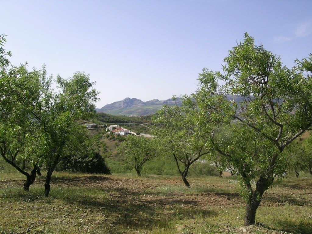 4 quarto Quinta/Casa Rural para venda em Colmenar com garagem - 510 000 € (Ref: 2777036)